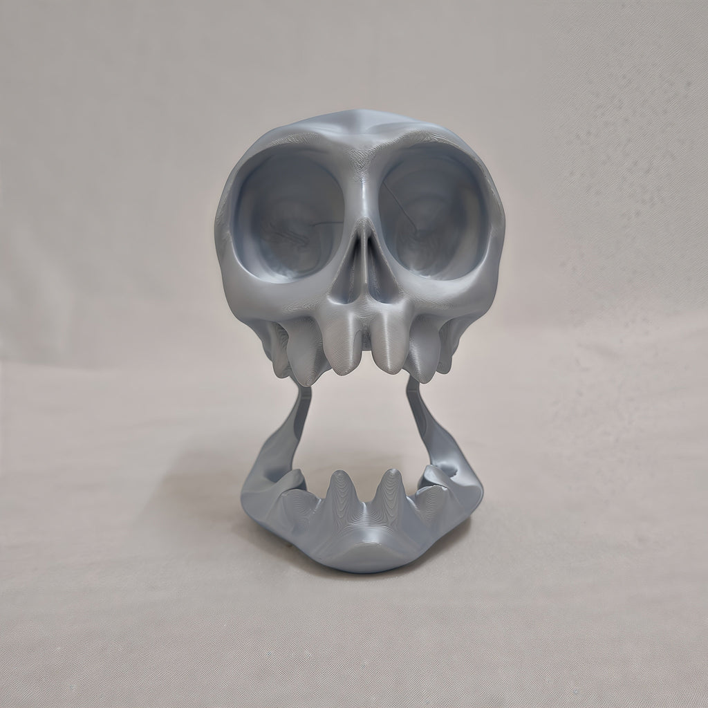 NNETM Skull Head Gaming Stand Dual Controller Headset Holder